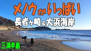 メノウとカルセドニーがいっぱい！【神奈川県 葉山町】長者ヶ崎海岸・大浜海岸 ビーチコーミング