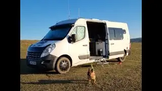 A Trip To Cocos Wild Camp with Louie the Frenchie