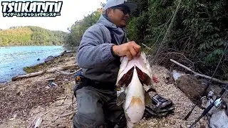 【神回、記録更新】9lbモンスターバス捕獲動画!!ビッグベイトデイゲーム Swimbait BassFishing