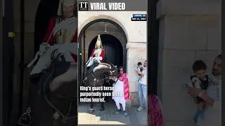 King&rsquo;s Guard Horse Purportedly Seen Biting Indian Tourist  #kingsguard #london #shorts