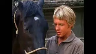 Daniel Boone 1969   The Spanish Horse   NEW TO DAY  🐎🪶🐎Drama , Western🐎Daniel Boone Full Epis