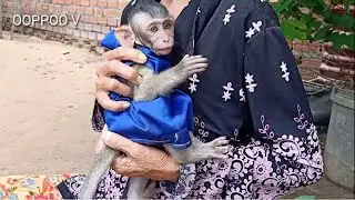 Wow Grandma Take care Baby Monkey Janny / Janny Love Grandma