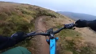 Goodwood, afan forest
