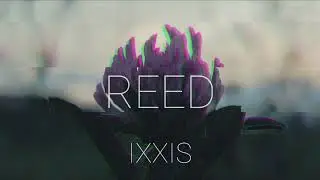 REED