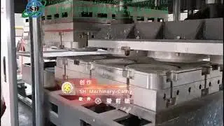 How to make Disposable Sugarcane Bagasse Pulp Tableware Plate ?