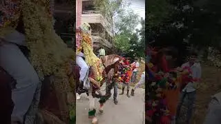 Nellore shakeer horse dance 7095786921 🔥🔥🐎