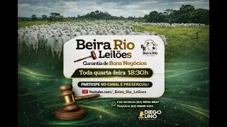 PRIMEIRO LEILÃO DO ANO 2026! Beira Rio Leilões -   Aparecida Do Rio Claro - Go  14/01/2026