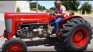 Massey Ferguson 65 good collector and worker!