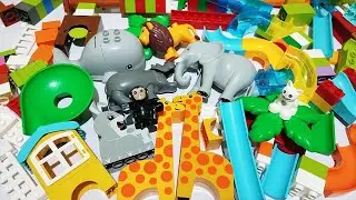 Satisfying Building Blocks Marble Run ASMR #410 Hippopotamus, Giraffe & other animals Funnel live 25