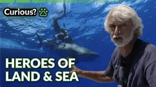 Wild Rescues: From Gaza to the Ocean! | Animal 911