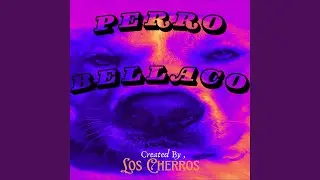 PERRO BELLACO