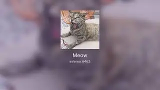 Meow