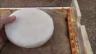 Easy to Make Sugar Patty, Late Winter bee feeding