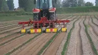 BADALINI MULTI ROW ROTOTILLER Sirio