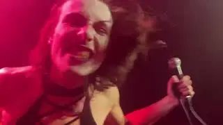 Bisexual Shoes Live session Echonova 2025