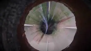 Lower Huia Dam Soundscape