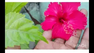 ನನ್ನ ಮೊದಲ ವಿಡಿಯೋ ನೋಡಿ ಸಪೋರ್ಟ್ ಮಾಡಿ