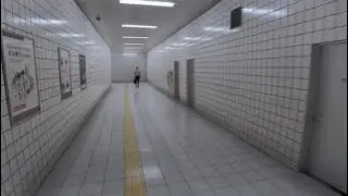 The Exit 8 - The Entertainer (Scott Joplin - Phonk - Slow remix)