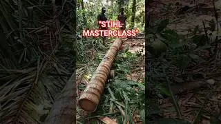 Incredible Finishing! Achieving Millimeter Precision on Super Grade Coconut Beams. #chainsaw #tree