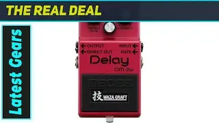 Boss DM-2W Waza Craft: Pure Analog Delay Perfection