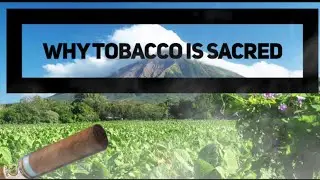 Why tobacco is sacred.