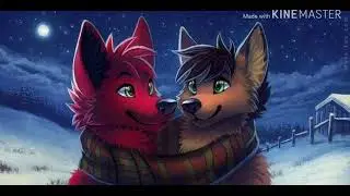 Furry-the nights