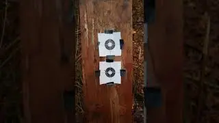 Umarex gauntlet vs Air venturi avenger