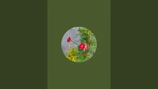 Sabana gardener is live