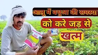 Bathua & Jhamkoiya Ko Kaise Mitaye? | Zero Weeds Technique | Potato Farming Guide