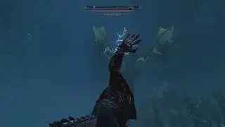 Skyrim Shenanigans