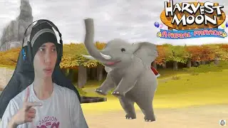 Semua Lokasi & Cara Menyelamatkan Hewan Sirkus - Harvest Moon: Animal Parade