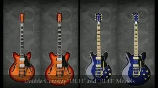 Halo Custom Guitars - More Custom Options