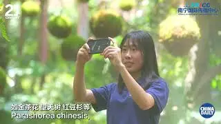 Discovering Harmony at Qingxiu Mountain: A Journey of Humanity and Nature