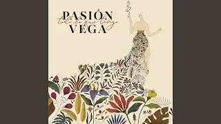 Volver A Volar (Zamba)