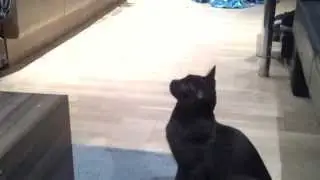 Lexie playing around