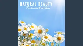 Moonlit Shore