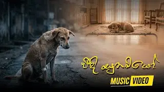 වීදි සුනඛයෝ | Music Video | Archive Cinema