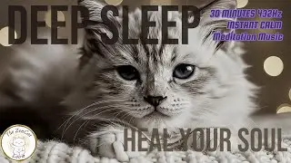 Deep Sleep Music for Anxiety Relief: 30 Minute 432Hz Healing Frequency 🧘‍♂️