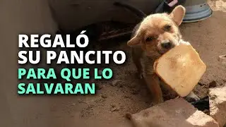Le regal&oacute; a una mujer su pancito para que ella lo salvara