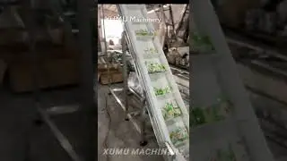 PP Modular Belt Conveyor For Frozen Shrimp And Dumplings From XUMU Machinery #seafood #modularbelt