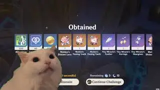 Farming Viridescent Venerer artifact be like.
