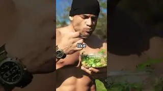 Start Your Day Like a Beast &ndash; Muscle Food Only