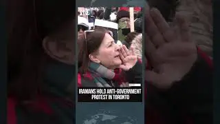 Тысячи людей вышли на митинг в Торонто в поддержку революции &laquo;Лев и Солнце&raquo; и протестуют против и...