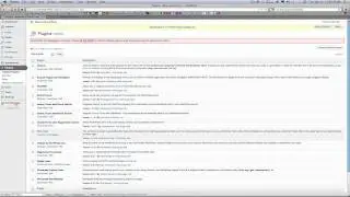 WordPress Text Message Video Review