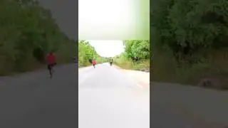 Wild elephant attack #srilankaelephants #elephantvideo #elephantattacks