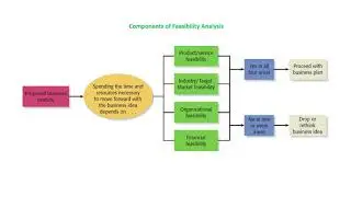 Feasibility Analysis Explained