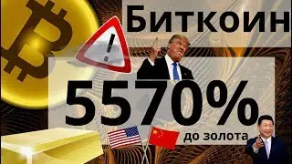 Биткоин 5570% до золота. BTC майнеры: убыток большинство 2019 года?
