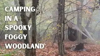 Overnight HAMMOCK CAMP in a FOGGY WOOD