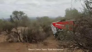 Riwald Dakar Team 