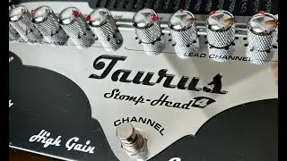 Taurus Stomp Head 4 Day 1: Fishman Abasi 8 String Pickups